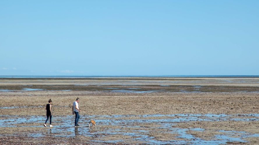 Two people walk their dog on the sprawling sand of Thompson Beach on a clear, sunny day.