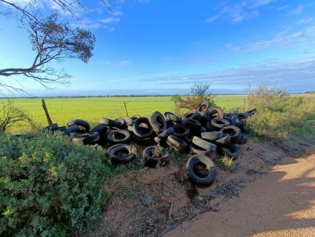 A pile of illegally dumped tyres on the side of Day Road in Redbanks, posing an environmental and safety risk.