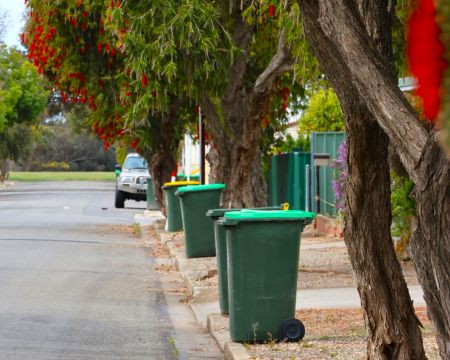 Green lidded bins on the kerb in Mallala, with trees in the background with bright red flowers.
